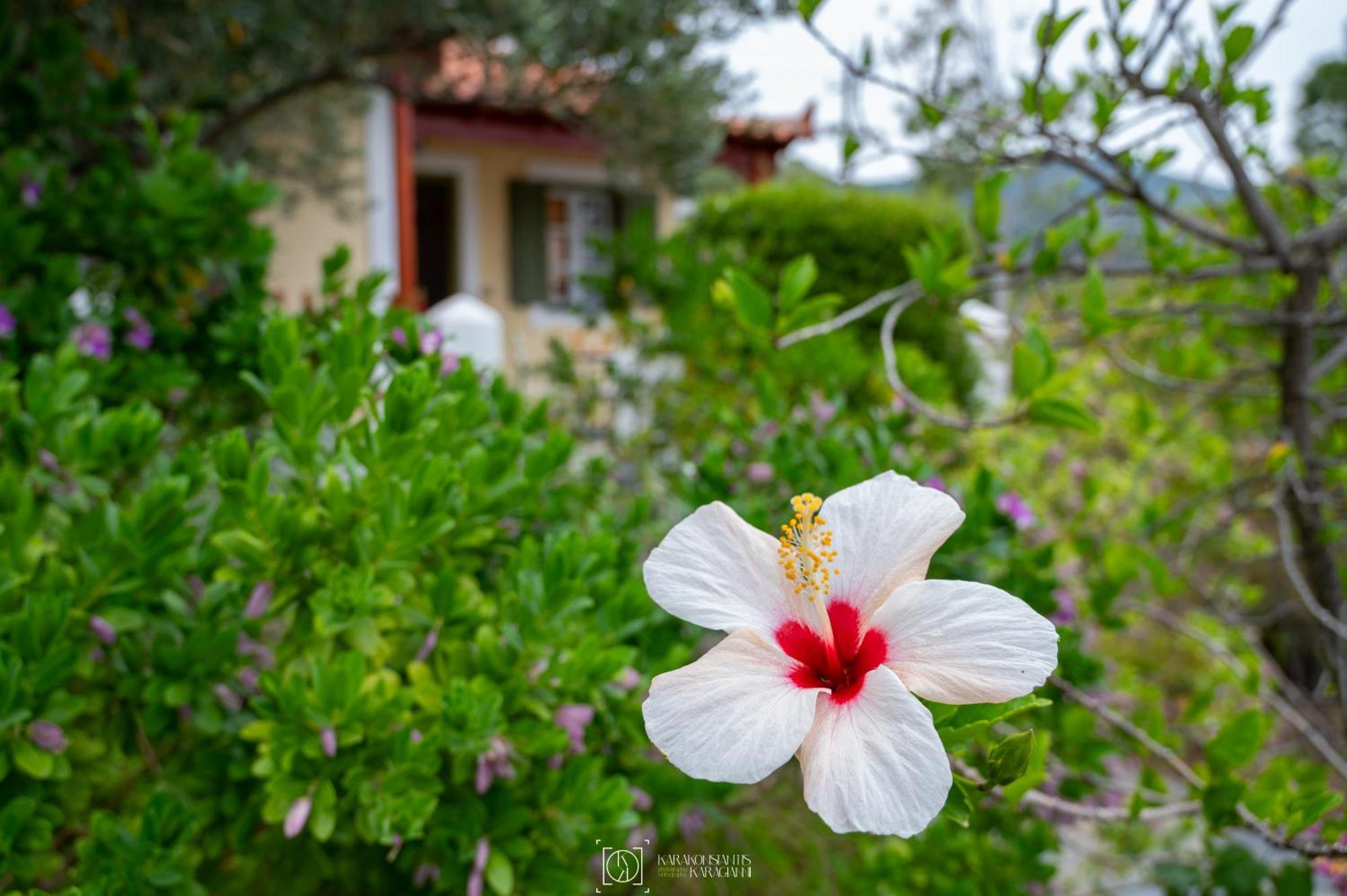 Pleiades Samos Apartment มาราโธคามปอส ภายนอก รูปภาพ