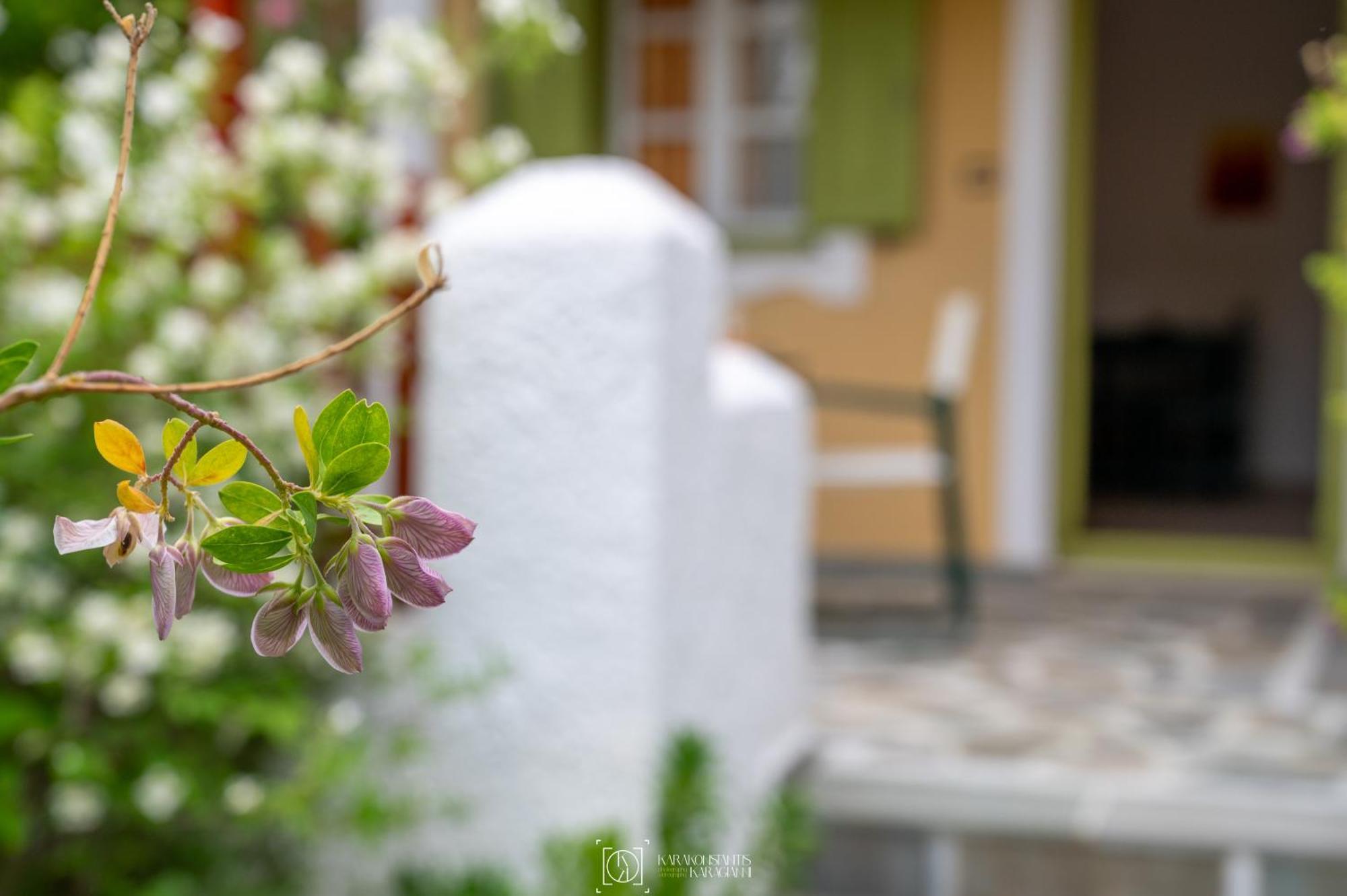 Pleiades Samos Apartment มาราโธคามปอส ภายนอก รูปภาพ