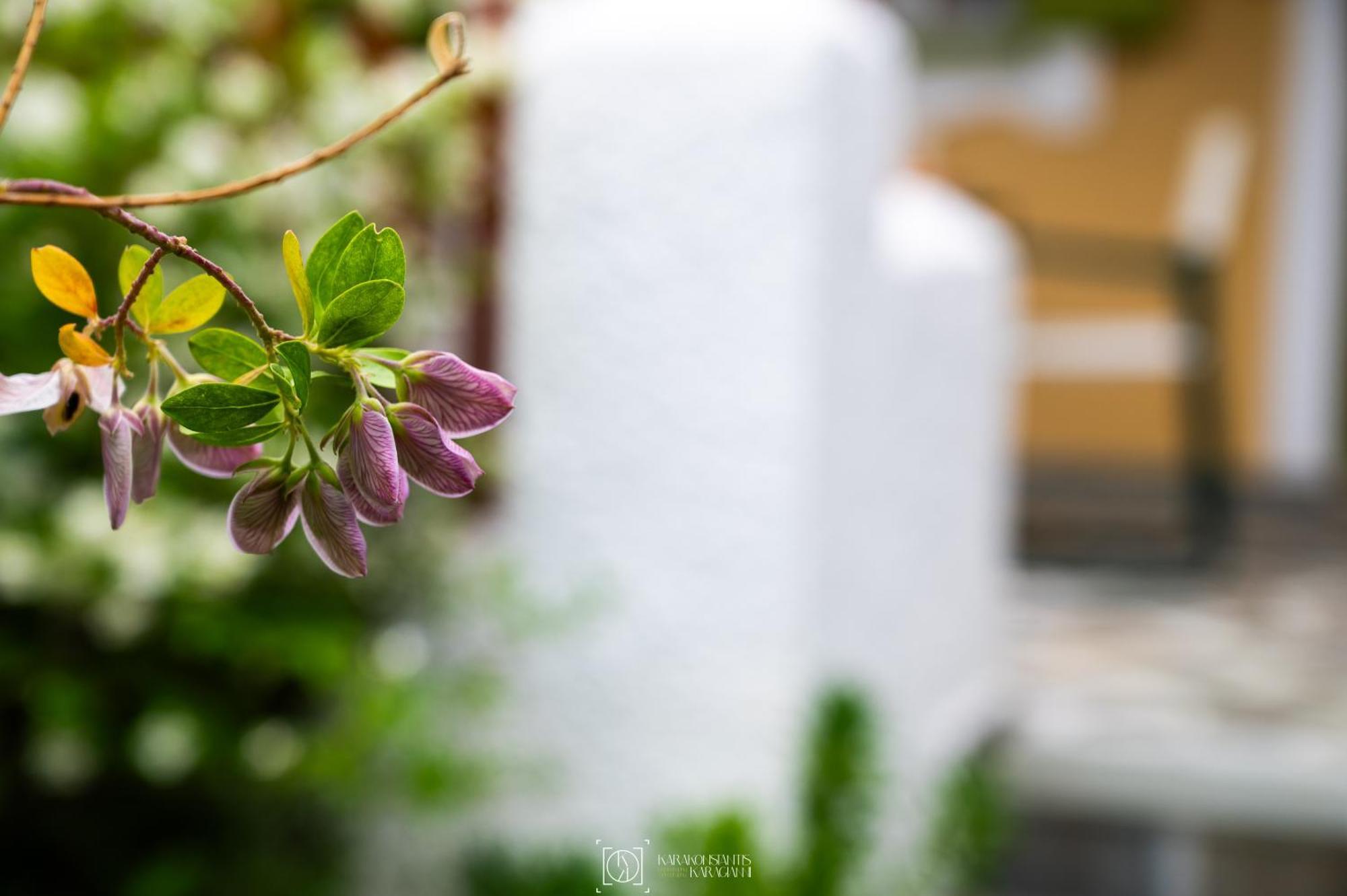Pleiades Samos Apartment มาราโธคามปอส ภายนอก รูปภาพ