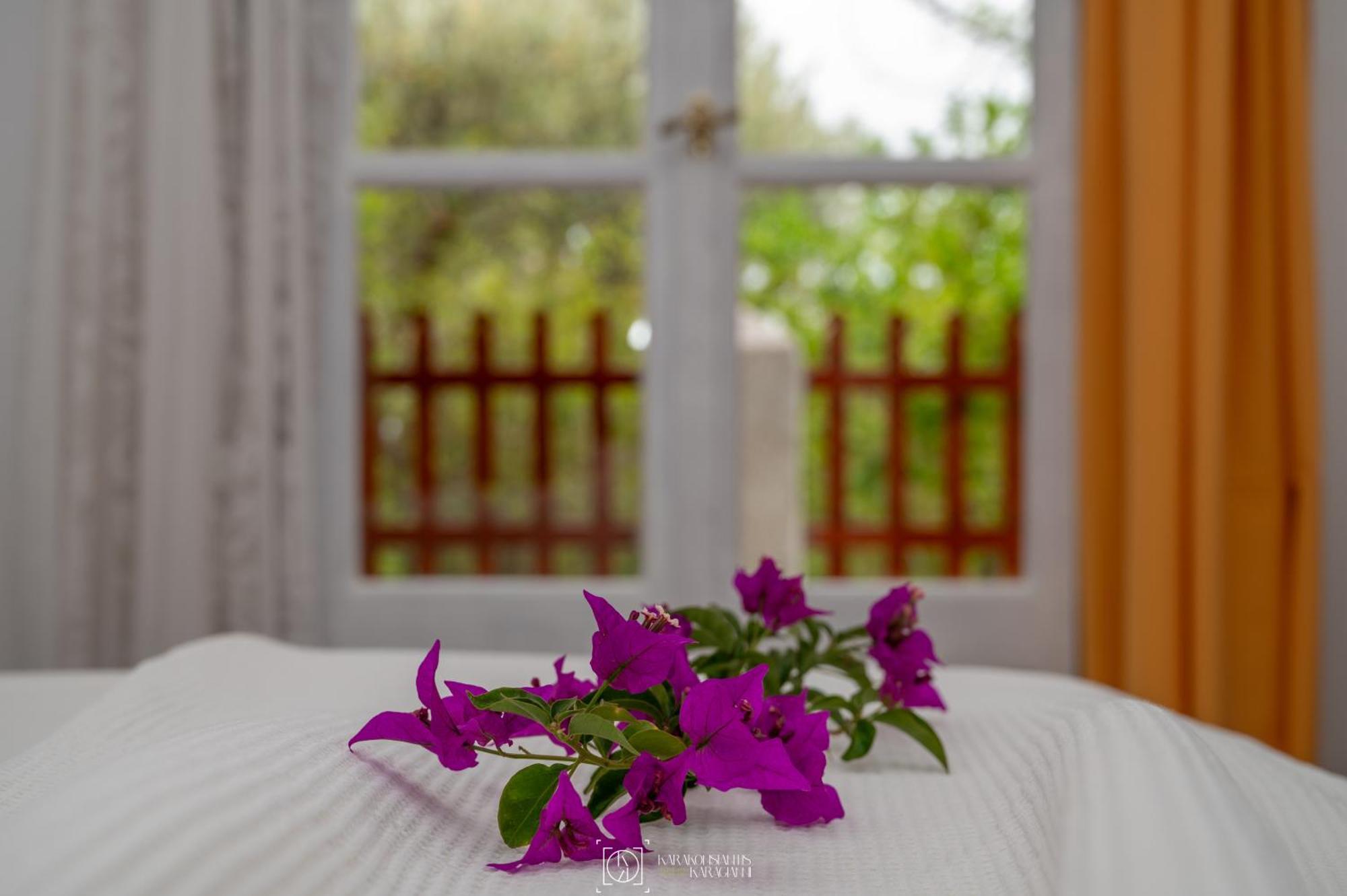 Pleiades Samos Apartment มาราโธคามปอส ภายนอก รูปภาพ